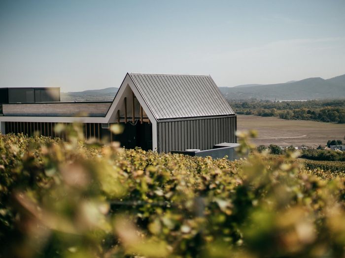 This winery is located in Chl'aba.